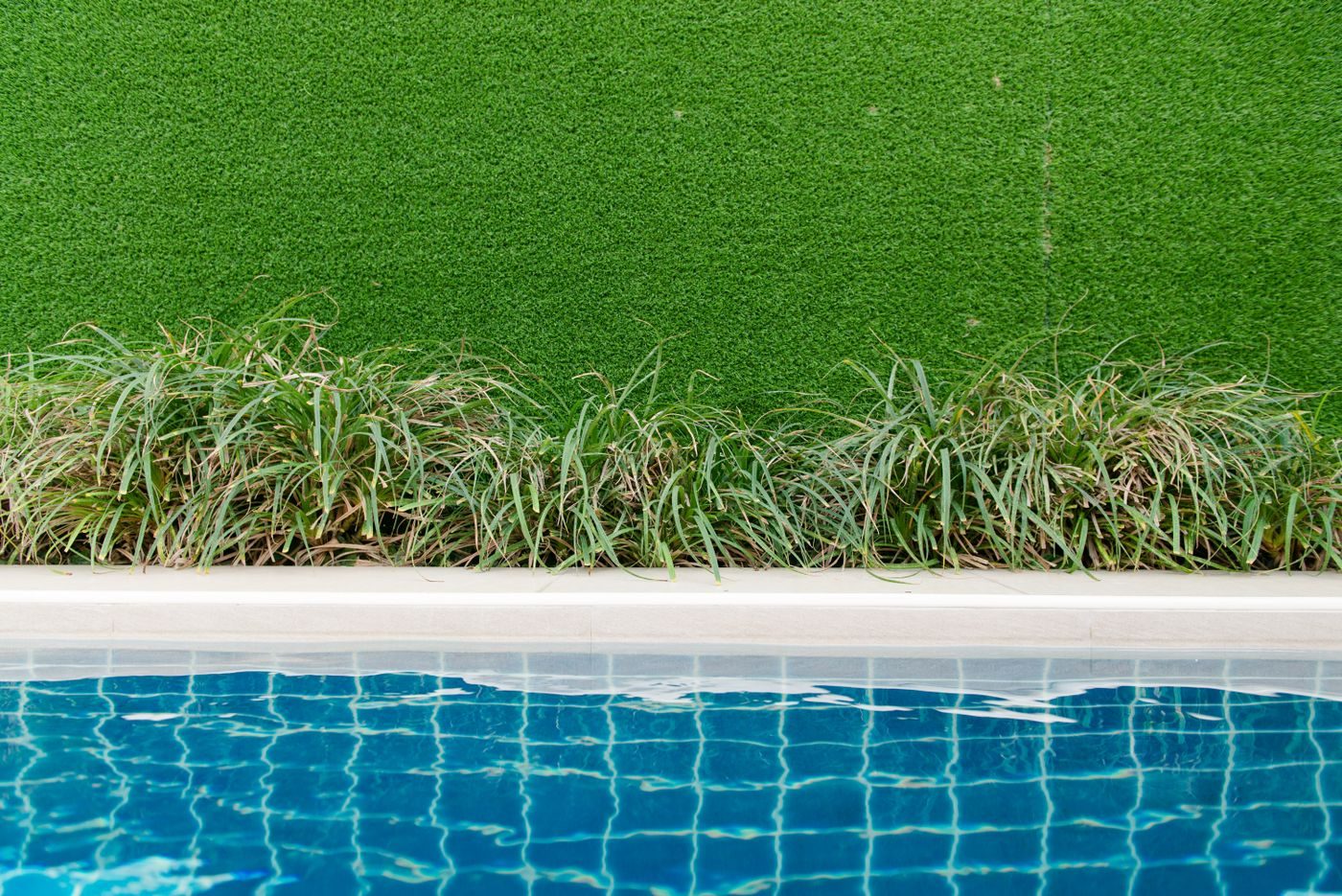 Artificial turf running up to a narrow planted strip along the coping of a swimming pool