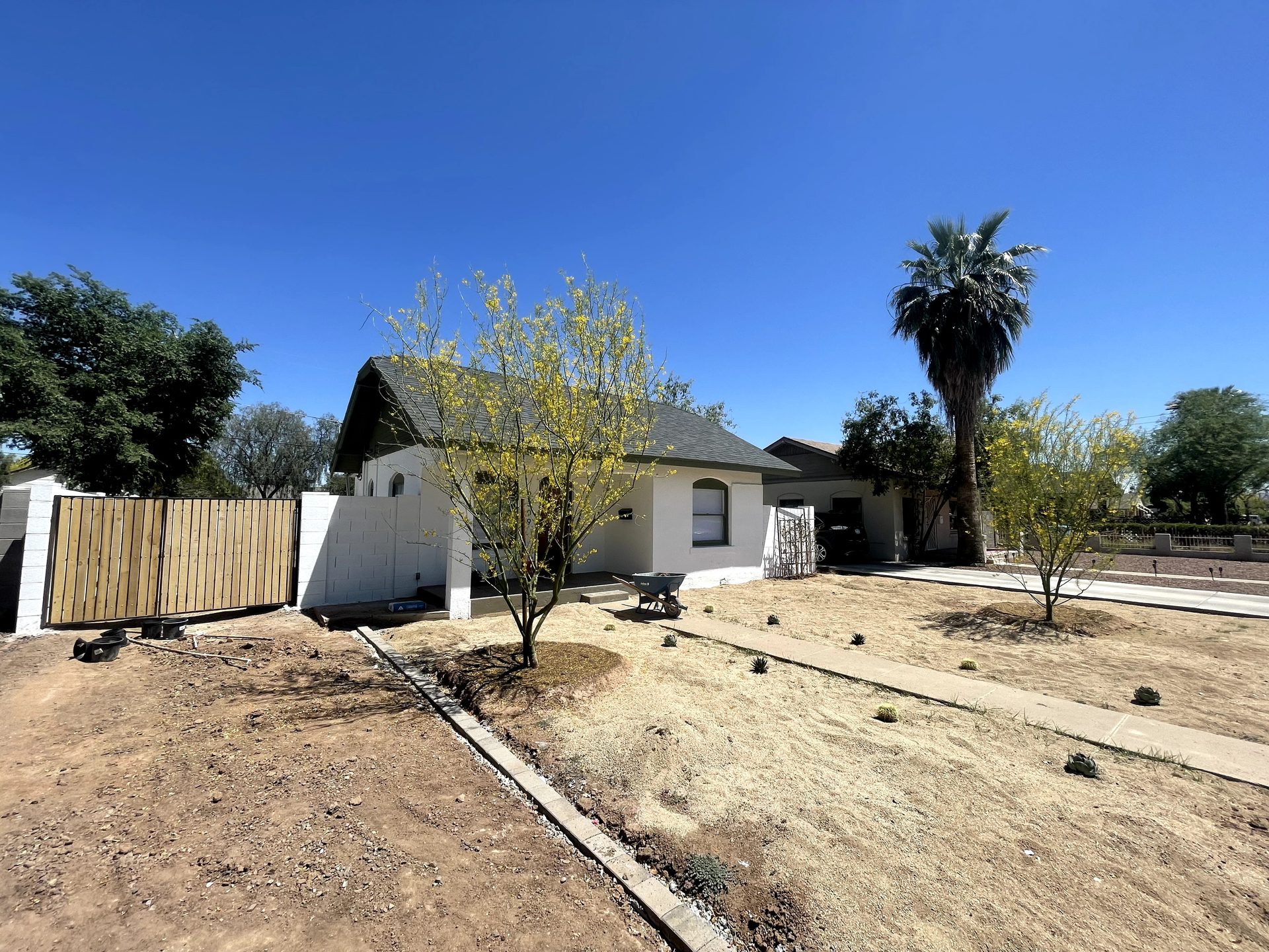 Finished desert front yard with Desert Museum palo verdes and a concrete walkway at a Coronado Historic District bungalow in Phoenix