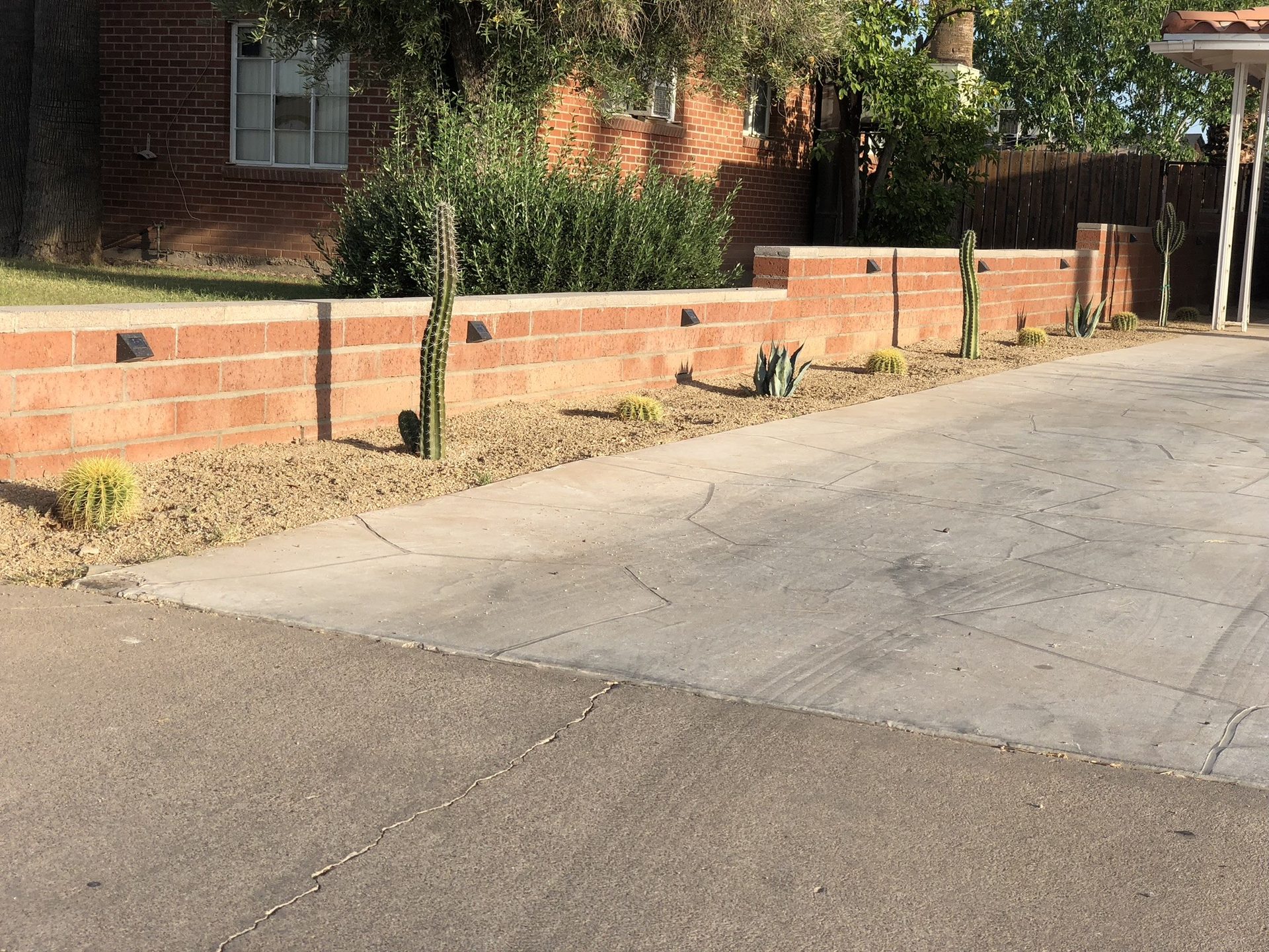 Curated cactus and agave planted along a brick property wall in a Phoenix front yard
