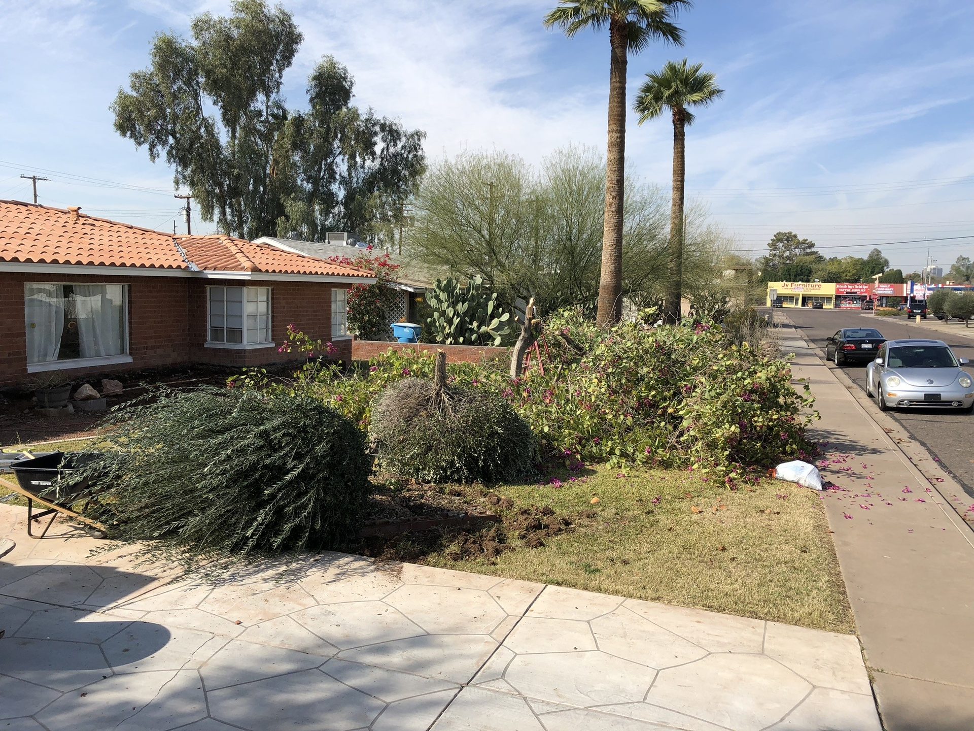 Overgrown grass lawn and shrubs in front of a Phoenix brick ranch home before desert conversion