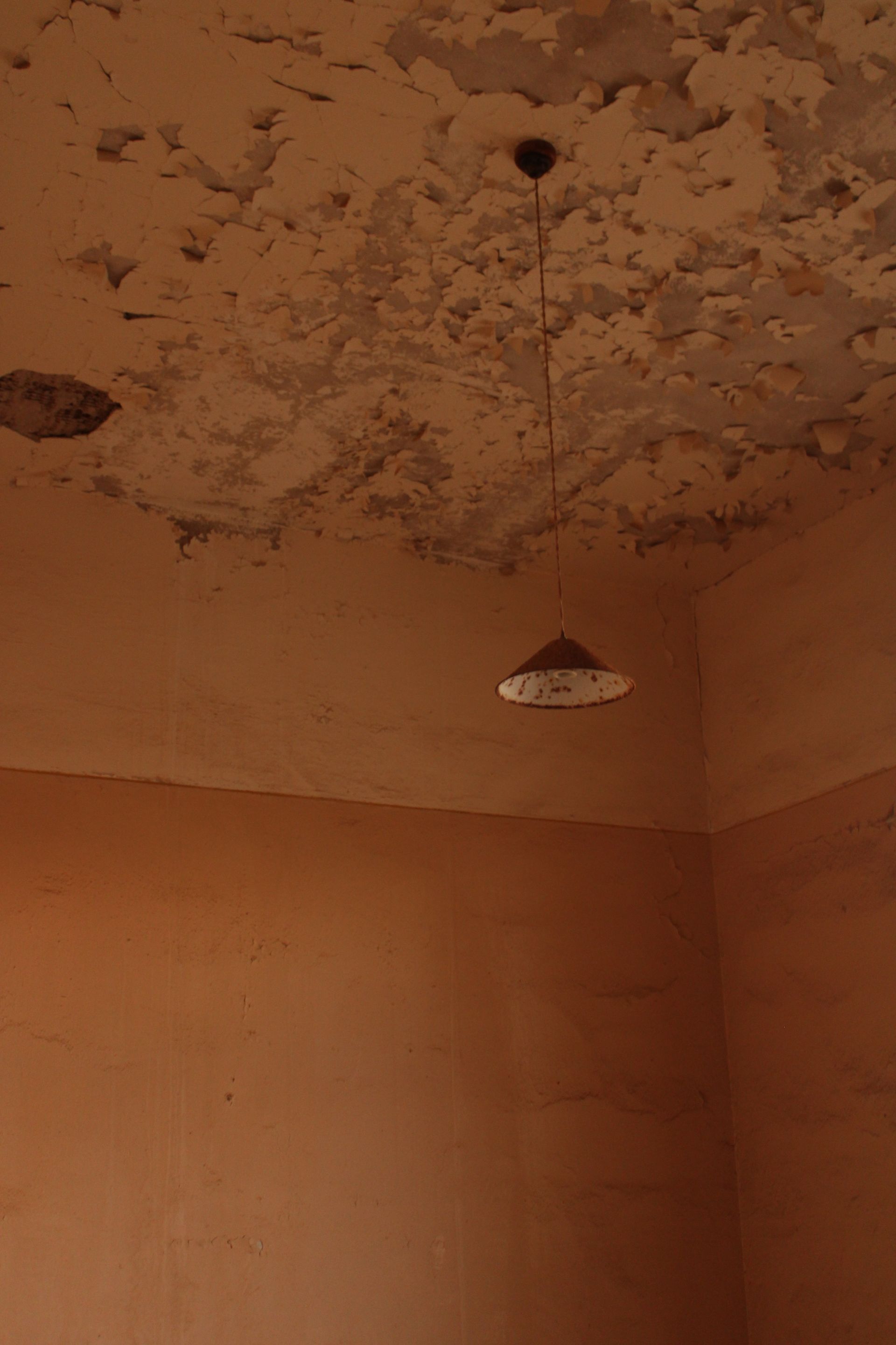 Water-damaged plaster ceiling with blistered, flaking paint over gray staining, a hole broken through near one edge and a cone pendant light hanging on a long cord