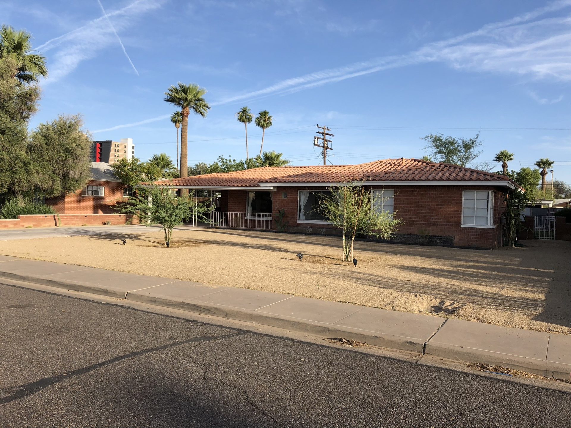 Completed low-water desert front yard with decomposed granite and palo verde trees in Phoenix